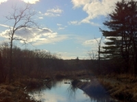 cold-harbor-trail-ma