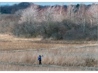 parker-river-national-wildlife-refuge-ma