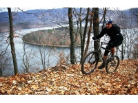 harold-parker-state-forest-biking-ma