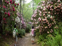 heritage-museum-and-gardens-gardens-and-arboretums-ma