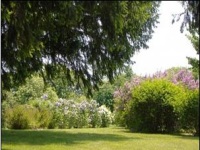 the-hebert-arboretum-gardens-and-arboretums-ma
