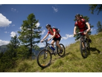 willowdale-forest-biking-ma