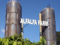 alfalfa-farm-winery-ma