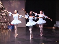 fresh-pond-ballet-ballet-ma-ma