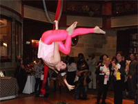 gina-defreitas-aerialist-circus-performer-stilt-walkers-for-kids-parties-ma