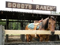 bobby's ranch horseback riding in ma