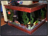 exotic fish & pet world aquariums in ma