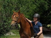 hillside meadows horseback riding in ma