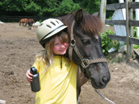 hybid farm horseback riding in ma