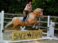 sage farm horseback riding in ma