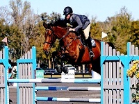 volo farm horseback riding in ma